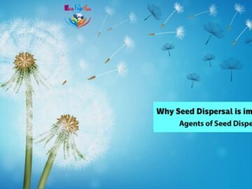 Why Seed Dispersal is important_Agents of Seed Dispersal