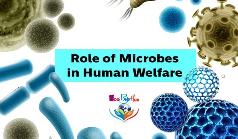 Role of Microbes in Human Welfare