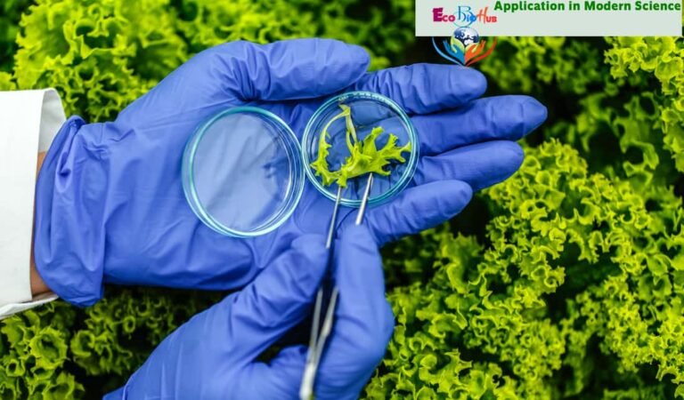 What is Plant Tissue Culture & Application in Modern Science